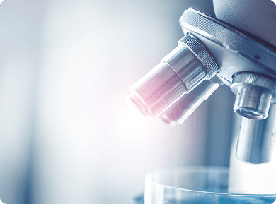 Laboratory Investigations